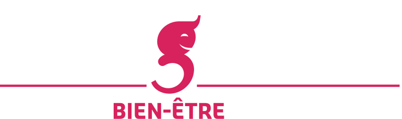 Logo Magessa - Massage bien-être en entreprise à Amiens Glisy, Hauts-de-France
