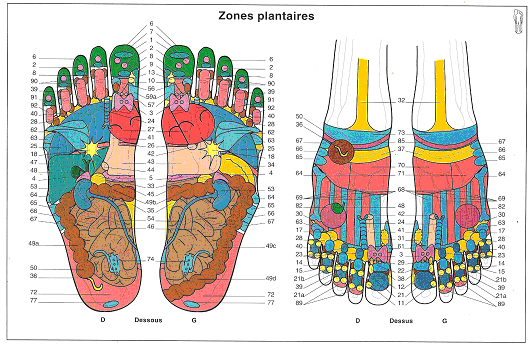 Apprenez à réaliser un soin de réflexologie plantaire pour vous-même ou vous proches