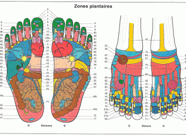 réflexologie plantaire magessa amiens